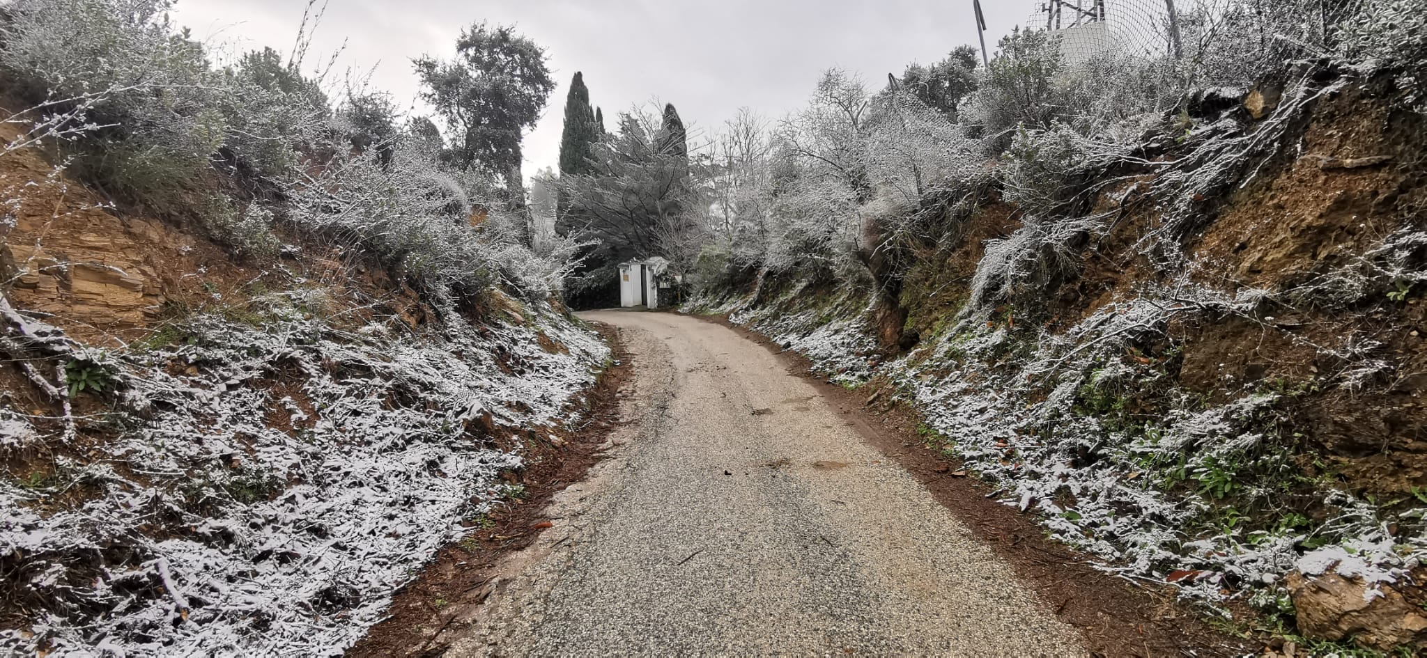 Fotos La nieve llega a la provincia de Málaga Diario Sur
